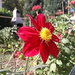 Aparthotel Mona 3*