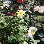Aparthotel Mona Mostar