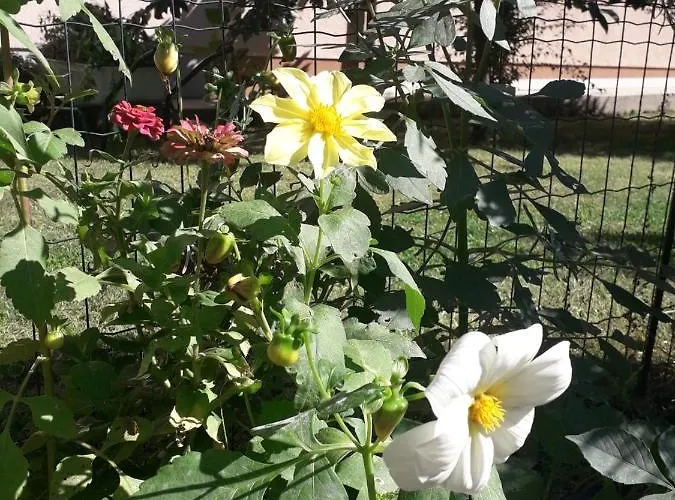 Apart-hotel Mona Mostar